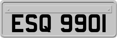 ESQ9901