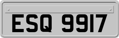 ESQ9917
