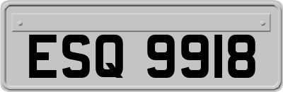 ESQ9918