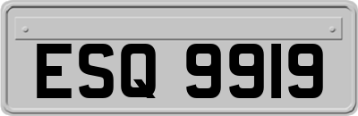 ESQ9919