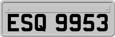 ESQ9953
