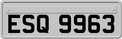 ESQ9963