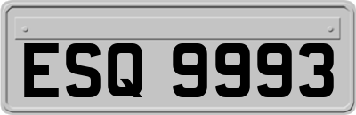 ESQ9993