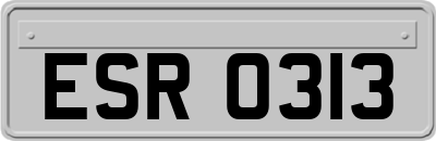 ESR0313