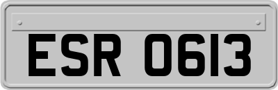 ESR0613
