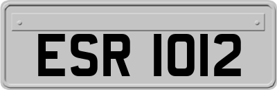 ESR1012