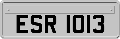 ESR1013