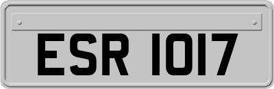 ESR1017
