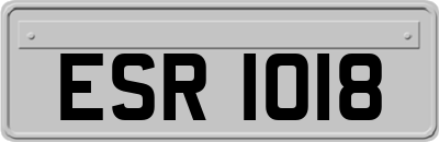 ESR1018