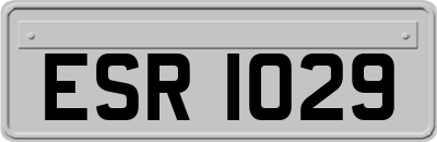 ESR1029