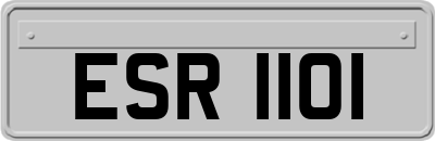 ESR1101