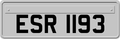 ESR1193
