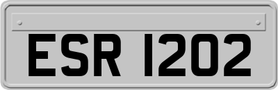 ESR1202