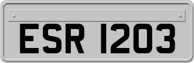 ESR1203