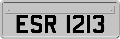 ESR1213