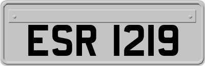 ESR1219