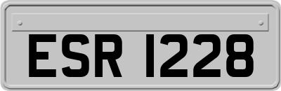 ESR1228