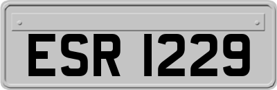 ESR1229