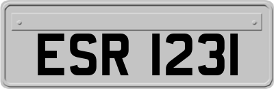 ESR1231