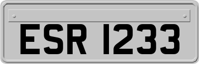 ESR1233