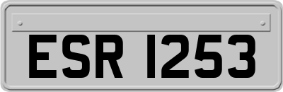ESR1253