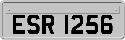ESR1256