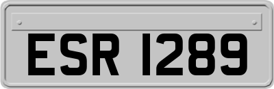 ESR1289
