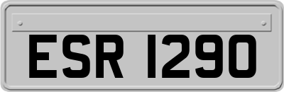 ESR1290