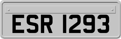 ESR1293