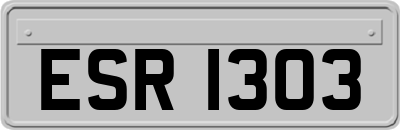 ESR1303