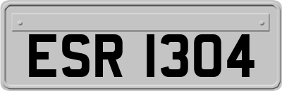 ESR1304