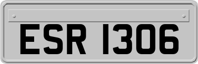 ESR1306