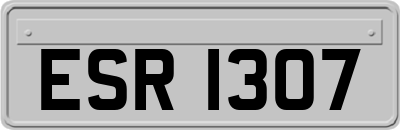 ESR1307