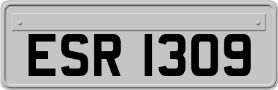 ESR1309