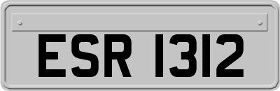 ESR1312