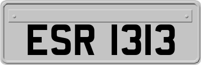 ESR1313