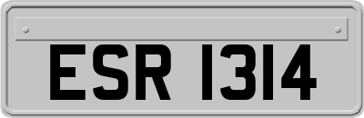 ESR1314
