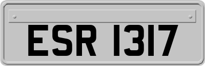 ESR1317