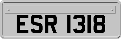 ESR1318