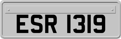 ESR1319