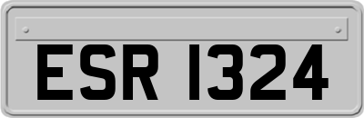 ESR1324