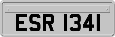 ESR1341
