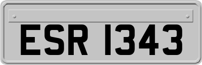ESR1343