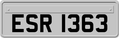 ESR1363