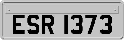 ESR1373