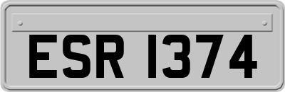 ESR1374