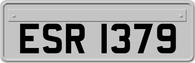 ESR1379