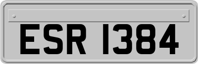 ESR1384
