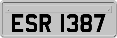 ESR1387