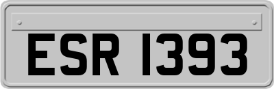 ESR1393